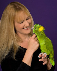 New Years Resolutions For Animal Trainers