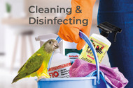 Parrot Cleaning And Disinfectant | Products Reviewed and How To Use Guide