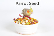 Parrot Seed | Different Seed To Feed Parrots