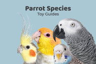 Northern Parrots Handy Toy Guides