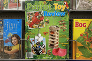 Parrot Toys | Products Reviewed and How To Use Guide