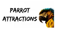 Parrot Attractions In The UK