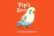 Pip The Budgie's Inspiring Story