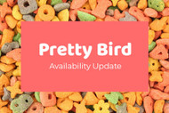 Pretty Bird Availability Update August 2023