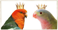 The Top Royal Parrots