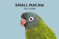 Small Macaw Toy Guide