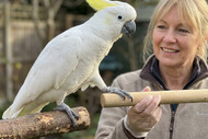 Stick Training Parrots