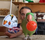 Trick Training Your Parrot - Yasmin's Trick Training Diary