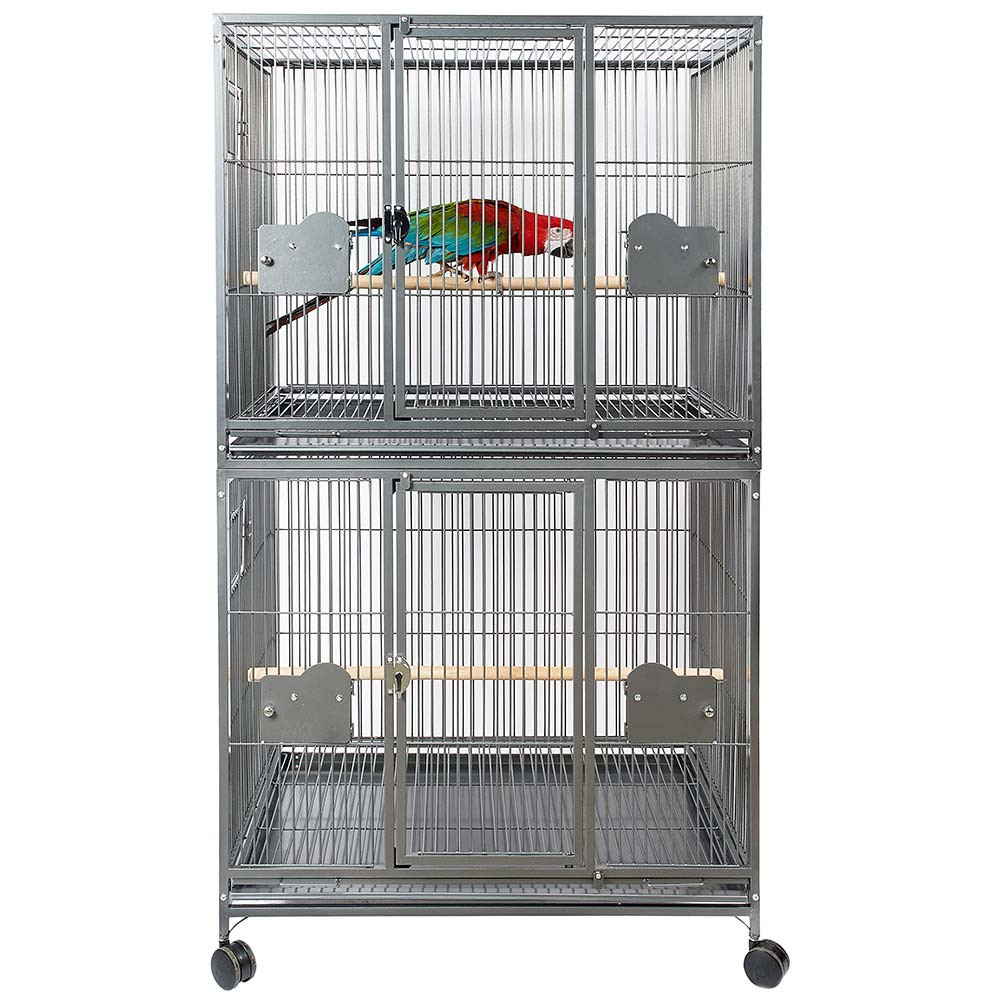 Second crusade for the conservation of the Macaws of Colombia
