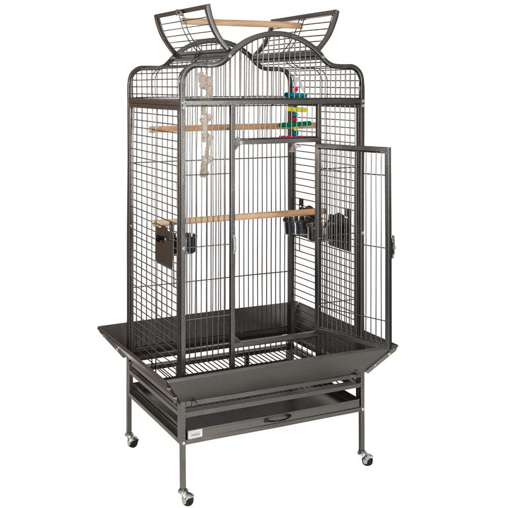 Choosing A Parrot Cage - Northern Parrots