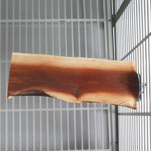 Manzanita Flat Parrot Perch - Large 3