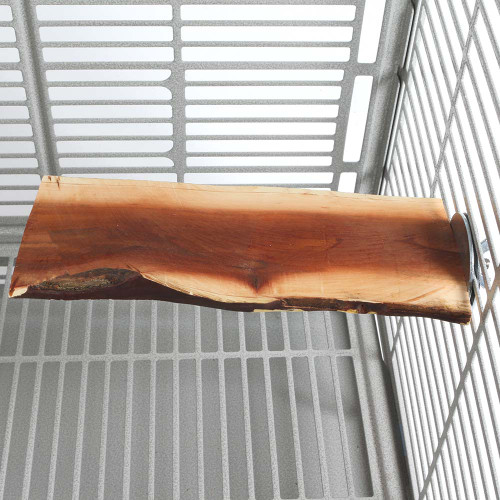 Manzanita Flat Parrot Perch - Large 2