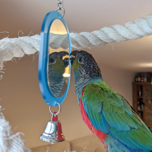 mirror toy