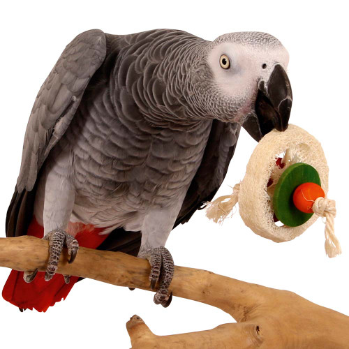 Loofah Disc Parrot Foot Toy