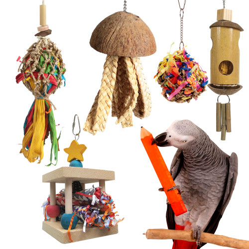 Northern Parrots African Grey Parrot Toy Sale Pack