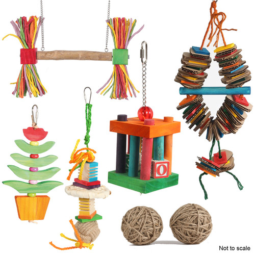 Northern Parrots Sensational Summer Toy Pack