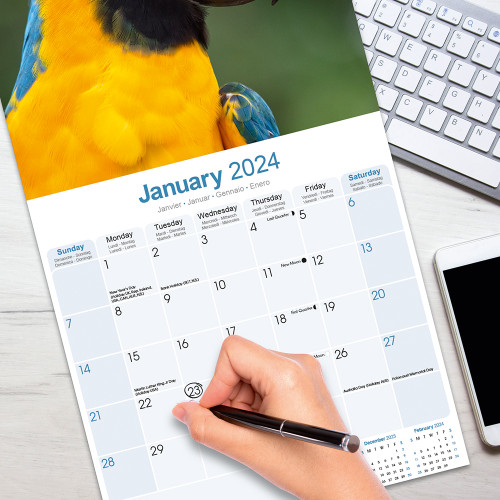 16 month macaw calendar
