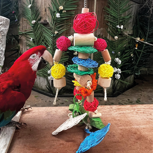 Robot - Parrot Toy