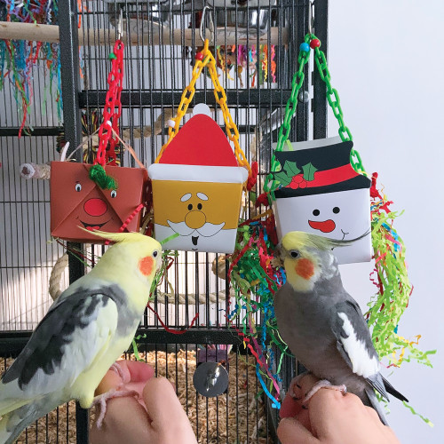 Christmas Foraging Goodie Box Bundle 1 Christmas Foraging Goodie Box Bundle 1