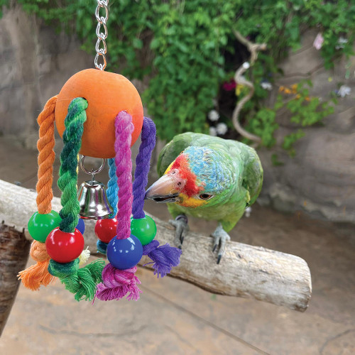 Jiggly Bug Parrot Toy