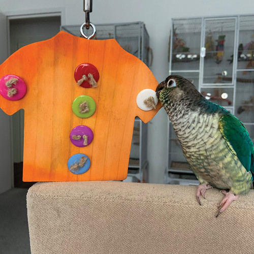 aloha shirt chewable parrot toy