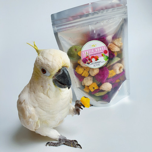 Polly's 80g Exotic Burst Freeze Dried Fruit Mix for Parrots 2