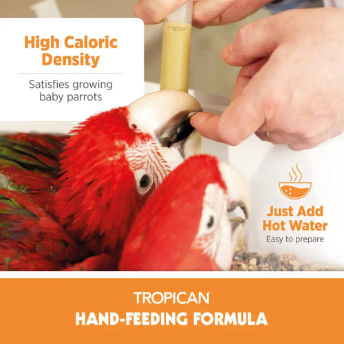 Hari_Hagen_Tropican_Hand_Feeding_Formula_Baby_Parrot_Food_400g_Infographic_2_562485