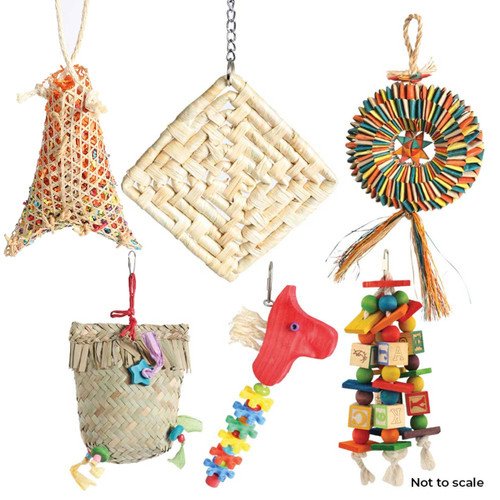 Northern Parrots Awesome Autumn Parrot Toy Pack