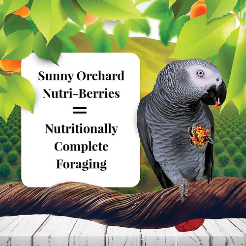 Lafeber NutriBerries Sunny Orchard 284g Complete Parrot Food Case of 12 2