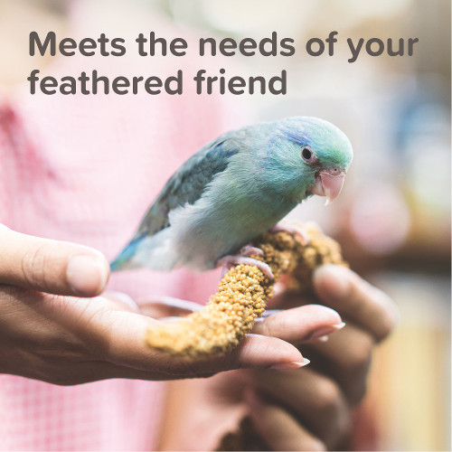 Beaphar Vitamin Enriched Budgie Food 500g 4