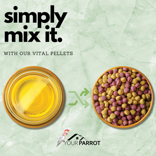 mixed nut oil supplement