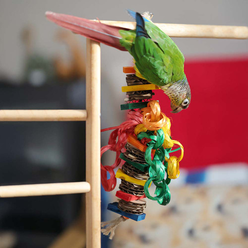 Hippy Style Shredding Stack Parrot Toy Small 6