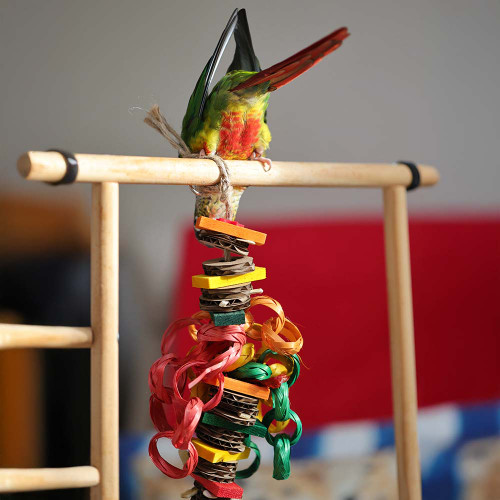 Hippy Style Shredding Stack Parrot Toy Small 7