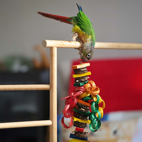 Hippy Style Shredding Stack Parrot Toy Small 8