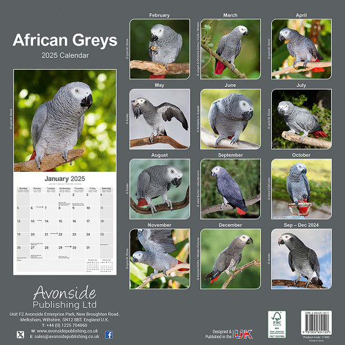 2025 African Grey Parrot Calendar - Full Colour 2