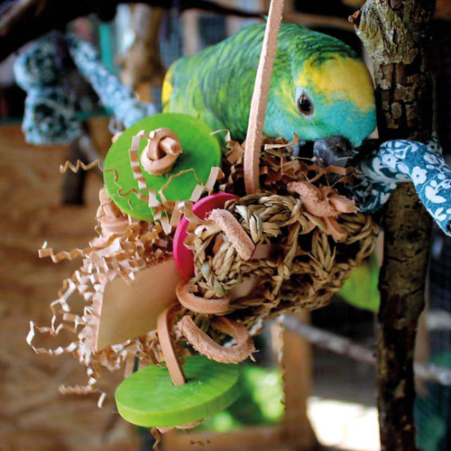 Leather Elves Foraging Fun Taco Parrot Toy