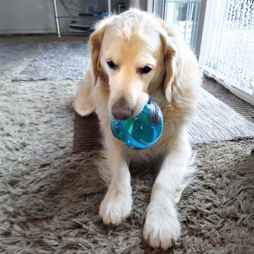 hero_giggle_treat_ball_dispensing_dog_toy_371956_2