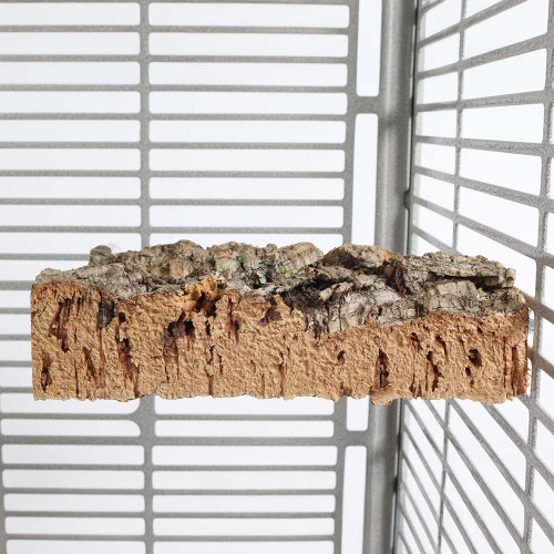 Back To Nature Cork Platform Parrot Perch Medium