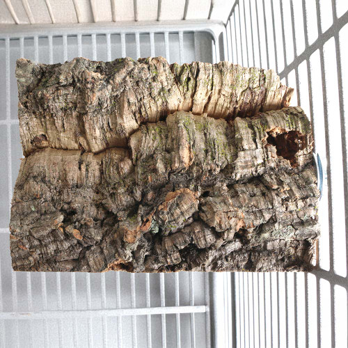 Back To Nature Cork Platform Parrot Perch Medium 1