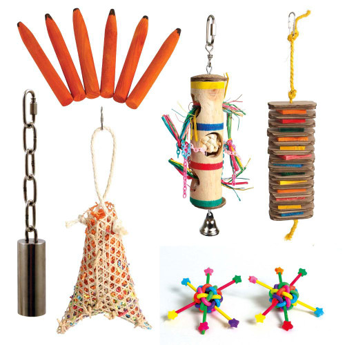 Northern Parrots January Sale Half Price Parrot Toy Pack