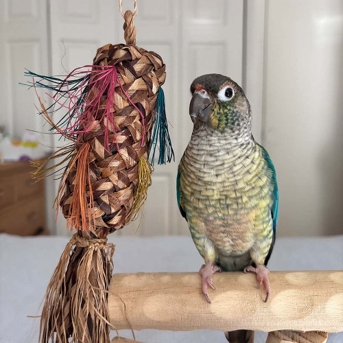 Natural Pinata Square Palm Leaf Parrot Toy Medium