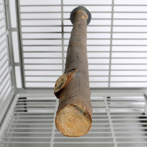 Medium Natural Willow Wood Parrot Perch 18" (45cm) - 1" Dia 2