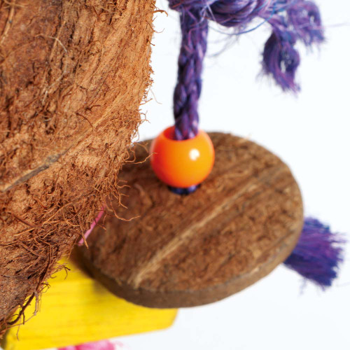 bEaKs Big Coco Puzzle and Preen Parrot Toy 4