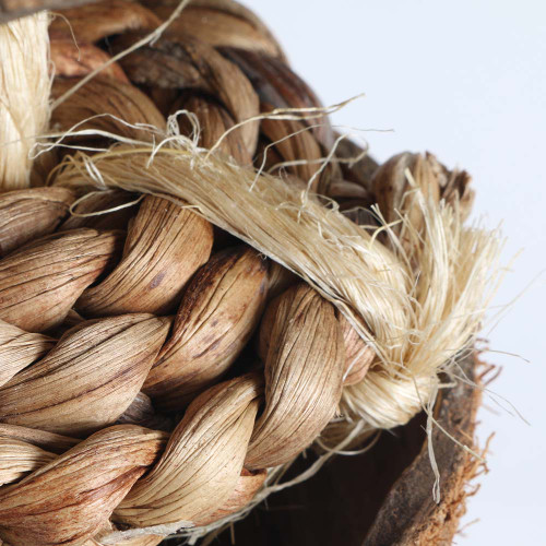 bEaKs Big Coco Fun Forager Parrot Toy 3