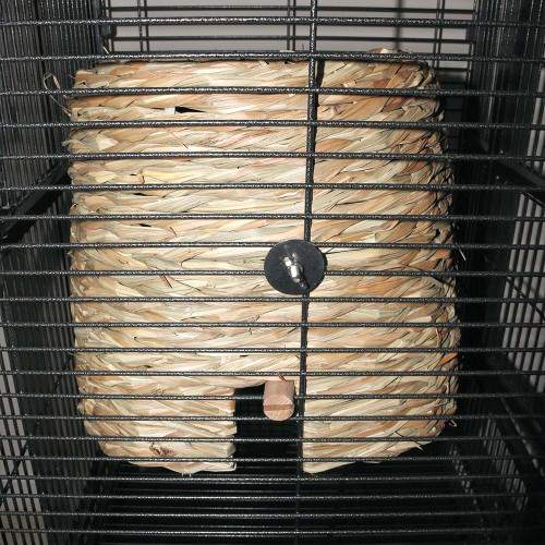 avian_hut_natural_hideaway_over_perch_parrot_tent_large_343456_3 avian_hut_natural_hideaway_over_perch_parrot_tent_large_343456_3