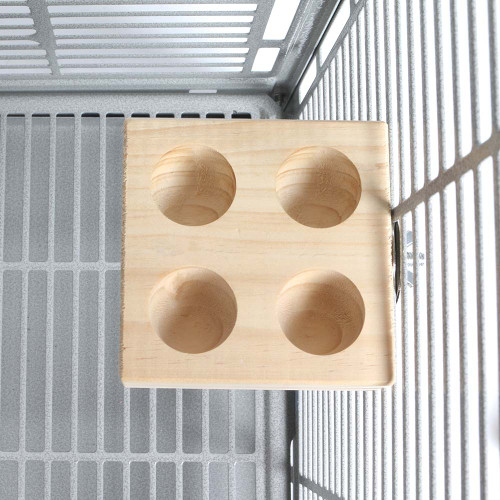 Foraging Platform Parrot Perch Small 1 Foraging Platform Parrot Perch Small 1