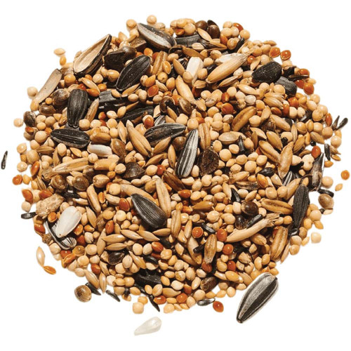 Countrywide Parakeet and Cockatiel Food Seed Mix 20kg 1