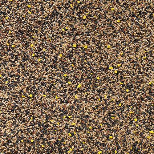 Johnston and Jeff Favourite Mixed Canary Seed 20kg