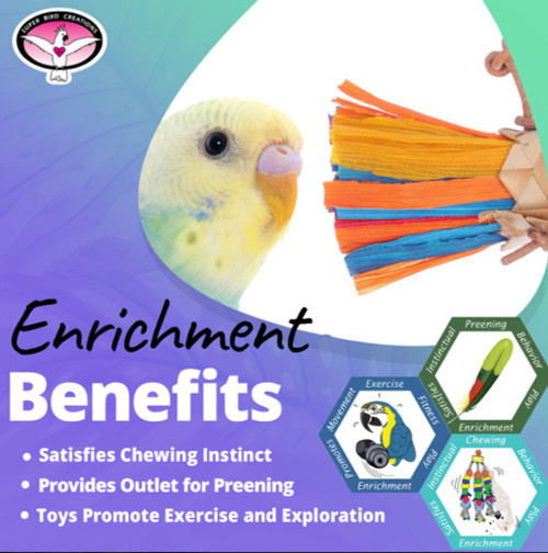 Bitty Corn Husk Bundle Preener Parrot Toy 5