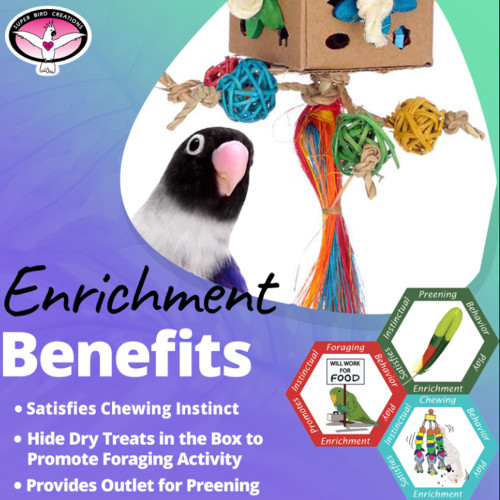 Crazy Cube Chewable Foraging Box Parrot Toy 5